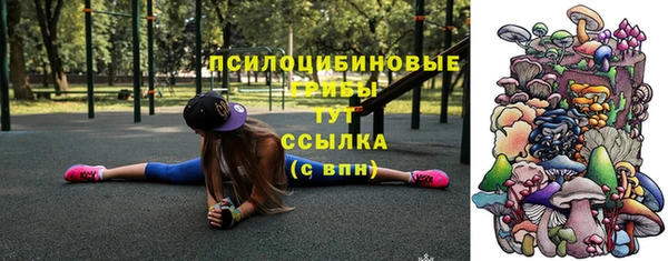ПСИЛОЦИБИНОВЫЕ ГРИБЫ Алексеевка